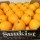 南非新奇士橙(10kg/箱)